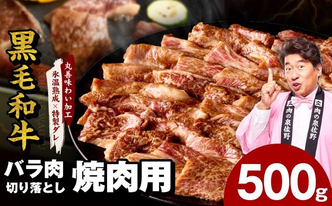 mrz0306 黒毛和牛 バラ 焼肉用 500g【切り落とし 小分け 氷温熟成×特製ダレ 味付け 焼くだけ 簡単調理 BBQ 牛肉】