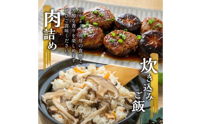 【F07027】大分産乾しいたけと豊後きのこカレーと豊後きのこめし