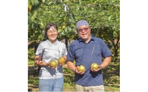 【先行予約】小林果樹園の梨 王秋 5～8玉 約3kg｜おうしゅう 朝どり みずみずしい 梨 なし ナシ フルーツ 果物 常総市　※2026年9月～発送