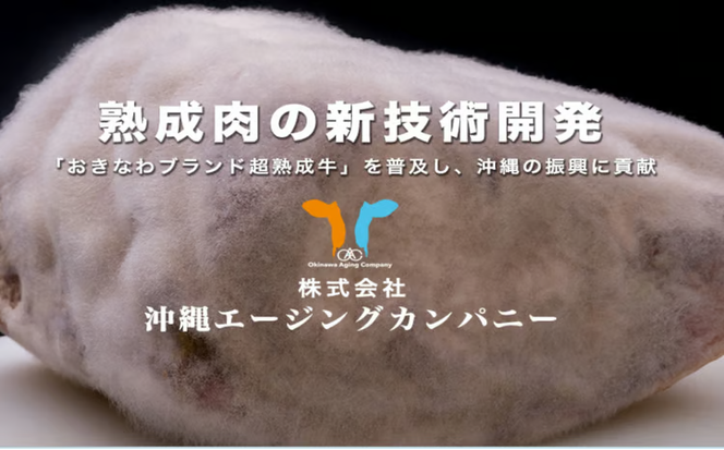 おきなわブランド【超熟成牛】&琉球在来【アグー豚】セット