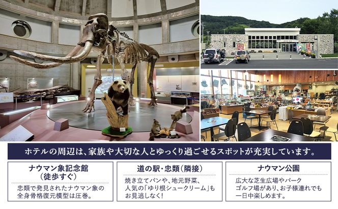 十勝ナウマン温泉 ホテルアルコ 朝食付きペア宿泊券 2名様分【 北海道 幕別町 十勝 ナウマン温泉 ホテルアルコ 宿泊券 2名 ペア 朝食付 温泉 旅行 観光 ギフト 】