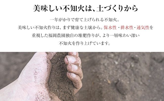 不知火 福岡農園 不知火 2kg 5kg 《1-5日以内に出荷予定(土日祝除く)》熊本県 氷川町 柑橘 果物 フルーツ shiranui しらぬい 柑橘 旬 フルーツ 熊本県産 速攻出荷 みかん---hkw_snfuk_s_r7_6000_2kg---