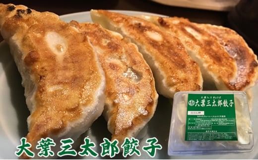 【定期便12ヶ月】餃子専門店青春餃子 餃子食べ比べセット 3種40個（青春餃子15個、豊岡餃子10個、大葉三太郎餃子15個）（計480個）