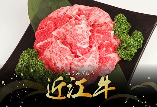 【げんさん】近江牛A5ランク切落し【500g】【訳あり】【DG12W】