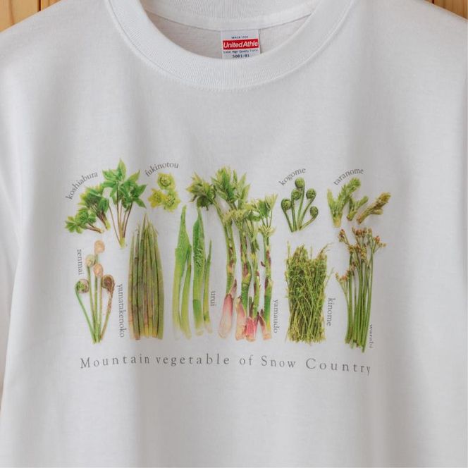 世界で唯一!着る山菜!!【山菜図鑑Tシャツ・白】綿100% 半袖 ファッション メンズ レディース 洋服 新潟 