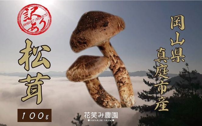 【2027年先行予約】花笑み農園　岡山の訳あり『松茸』100g 【hana078-03】