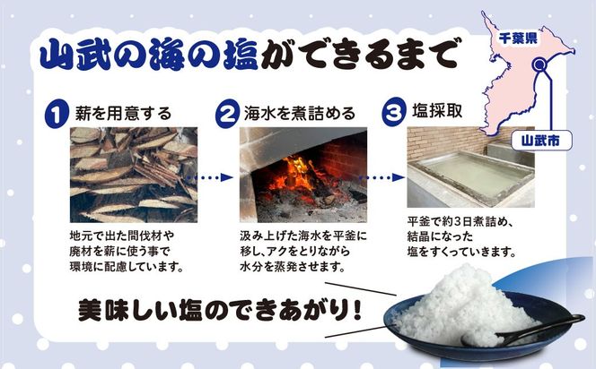 山武の海の塩８０ｇ×５個パック　SMCI002