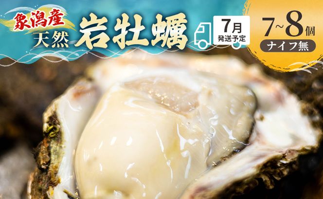 【 先行予約 7月上旬～下旬発送予定】象潟産 天然岩牡蠣 7～8個 ナイフ無【 牡蠣 夏牡蠣 かき 象潟 生食可 魚介類 海鮮 海産物 海の幸 】