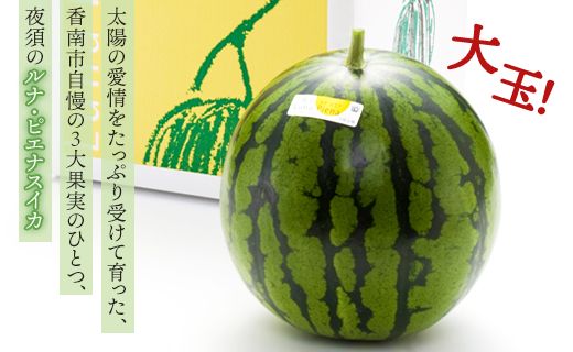 スイカ 定期便 【２回定期便】ルナ・ピエナスイカ(大玉) 1玉 Wyu-0041