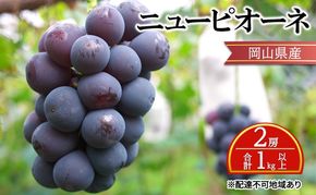 ぶどう 【2026年 先行予約】 ニュー ピオーネ 2房 合計1kg以上 ブドウ 葡萄 岡山県産 国産 フルーツ 果物 ギフト [№5735-2135]