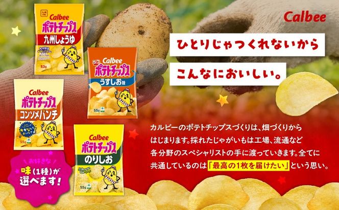 ＜味が選べる！＞カルビーポテトチップス（通常サイズ）16~12袋　K194-002_a