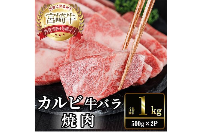 宮崎牛 カルビカット 焼肉 (計1kg・500g×2) 焼肉 お肉 牛肉 黒毛和牛 宮崎牛 ブランド和牛 冷凍 国産 宮崎県産 カルビ バラ 【YM-35】【YAMATO株式会社】