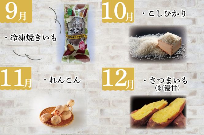 AE-55【12ヶ月定期便】JAが選ぶ！さつまいも好きのための行方まるごと旬鮮便