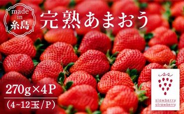 【予約：2025年1月上旬より順次発送】完熟 あまおう 270g × 4パック 苺 いちご 《糸島》【slowberry strawberry】 [APJ001] ランキング 上位 人気 おすすめ