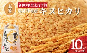 令和8年産 京都丹波産キヌヒカリ 玄米 10kg 米 お米 新米 南丹市 京都