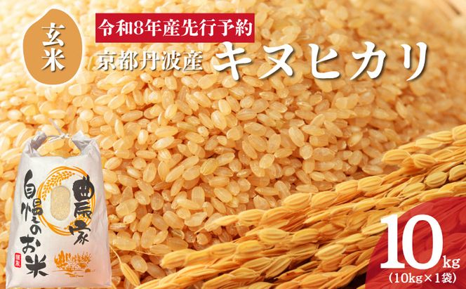 令和8年産 京都丹波産キヌヒカリ 玄米 10kg 米 お米 新米 南丹市 京都