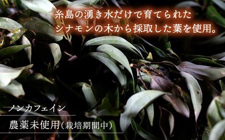 【全3回定期便】シナモンティー 2袋( 糸島産 シナモンリーフ 100%使用 ) 糸島市 / 泉屋六治【いとしまごころ】 [AGC011] 健康 茶 国産 ティーバッグ ティーパック ノンカフェイン