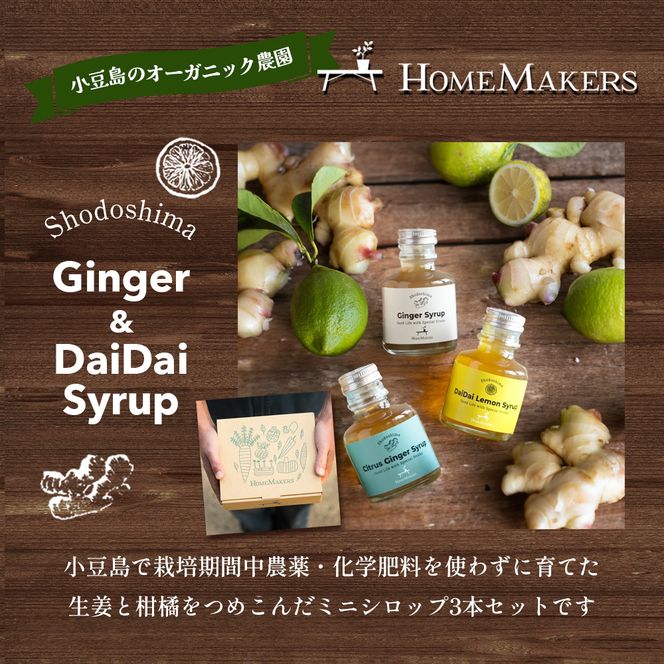 【 小豆島 】小豆島ジンジャー&ダイダイレモンシロップ3本セット ミニ お試し 飲料 飲み物 ドリンク シロップ ギフト 贈り物 香川 香川県 土庄 土庄町