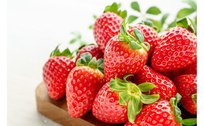 こだわり栽培 いちご すず 約1kg（約250g×4パック）【2026年1月末～2026年4月末までお届け】 232238_DS001