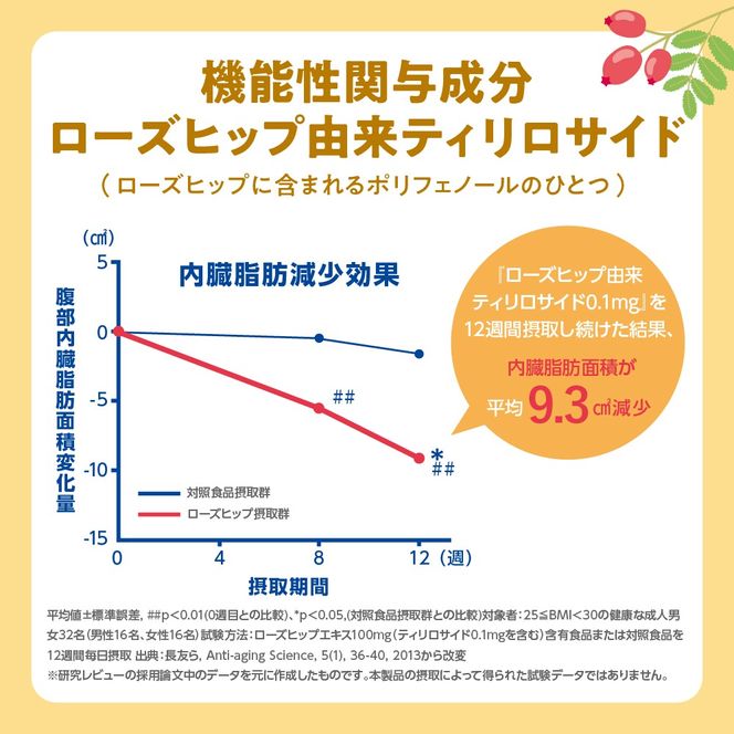 【2ヵ月定期便】サントリー からだを想う オールフリー 500ml×24本 2ヶ月コース(計2箱)  〈天然水のビール工場〉 群馬 ノンアルコール ビール 送料無料 お取り寄せ ノンアル ギフト 贈り物 プレゼント 人気 おすすめ 家飲み 気軽に飲める バーベキュー キャンプ ソロキャン アウトドア 休肝日