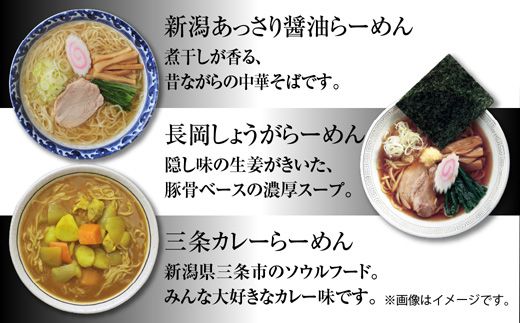 あっさり醤油 燕三条背脂 長岡しょうが 濃厚味噌 三条カレーらーめん 計10食 替え玉 乾麺 詰め合わせ 無地熨斗 しょうゆ みそ 備蓄 お取り寄せ ギフト のし 熨斗 松代そば善屋 新潟県 十日町市 麺類 コシ こだわり 