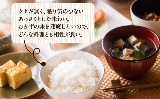 R7年産  特選米 ハツシモ 精米 10kg ×1袋 お米 米 白米 ごはん  精白米 ご飯 はつしも 令和7年産 ブランド米 低農薬 お取り寄せ 産地直送 クリーンファームまき 送料無料 岐阜県 安八町