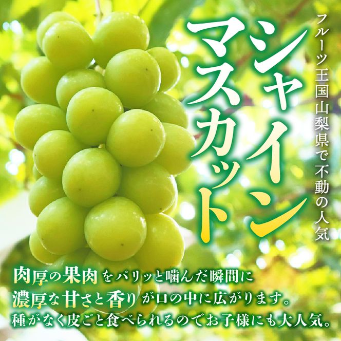 【2027年発送 先行予約】【ミニマム 3回定期便】厳選 旬のフルーツ定期便（桃3玉×2回配送・シャインマスカット1房）　フルーツ 定期便 桃 シャインマスカット 果物 フルーツ くだもの 旬 もも ぶどう 山梨 富士吉田