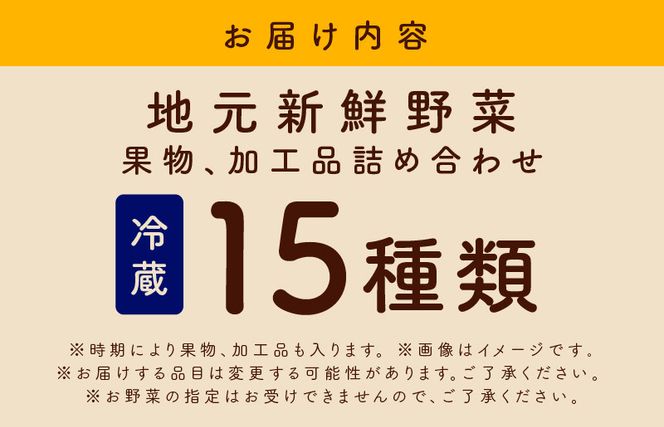 010B507y 【年内発送】旬の野菜セット 詰め合わせ 15種類 国産 新鮮 お試し おまかせ お楽しみ