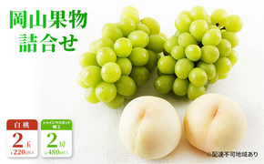 桃 ぶどう 2026年 先行予約 果物 詰合せ 白桃 2玉（1玉220g以上）シャインマスカット 晴王 2房（1房480g以上）化粧箱入り 岡山県産 国産 フルーツ ギフト フルーツ詰め合わせ 贈答品 セット [№5735-1469]