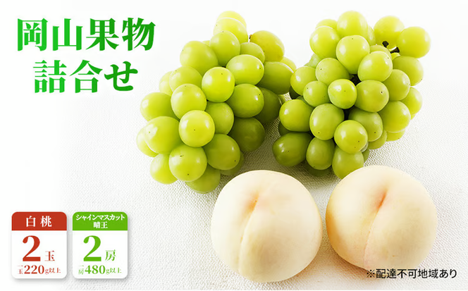 桃 ぶどう 2026年 先行予約 果物 詰合せ 白桃 2玉（1玉220g以上）シャインマスカット 晴王 2房（1房480g以上）化粧箱入り 岡山県産 国産 フルーツ ギフト フルーツ詰め合わせ 贈答品 セット [№5735-1469]