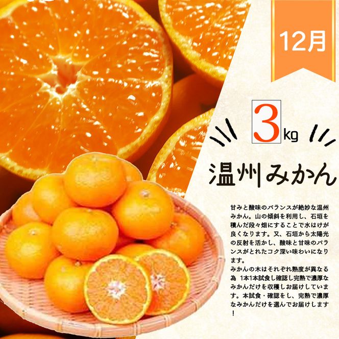 【全4回】紀州和歌山産旬のフルーツセット(巨峰・シャイン・みかん・不知火) / 果物定期便 フルーツ定期便 みかん オレンジ 柑橘 くだもの 果物 シャイン マスカット ぶどう 巨峰 しらぬい 不知火