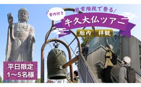 《 案内付き 》 非常階段で登る 牛久大仏 胎内 拝観 ツアー ※ 平日限定 ※ （ 5名様まで ） 貸切 体験 参加券 体験チケット 観光 [DR002us]