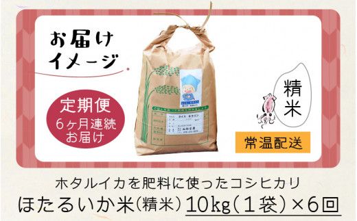 ほたるいか米（精米10kg）×6回 計60kg【6ヶ月定期便】