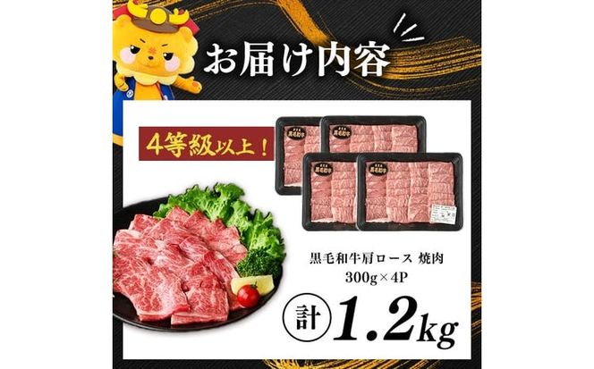 鹿児島県産黒毛和牛肩ロース焼肉用 (計1.2kg・300g×4P) b5-199