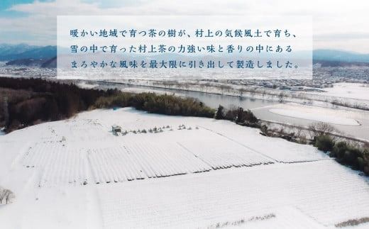 村上茶　メリッサハーブティーペットボトル24本入り 1005007