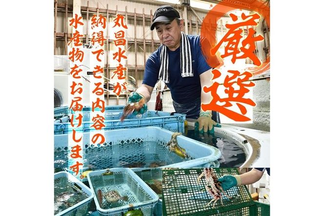 天然 カサゴ (約2kg・計6-15匹) 直送 産直 漁師 魚 鮮魚 天然 カサゴ 白身魚 獲れたて 刺身 煮つけ フライ 唐揚げ 塩焼き 冷蔵 豊後水道 鮮魚 大分県 佐伯市【CS15】【 (有)丸昌水産】