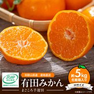 ZE6322n_和歌山の有田みかん 化粧箱入り 約5kg Mサイズ 【まごころ手選別】