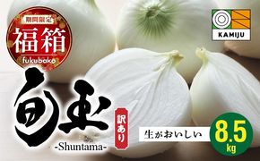 【福箱★2026】訳あり 新玉ねぎ 旬玉 8.5kg 生がおいしい神重農産のブランド玉ねぎ H105-169