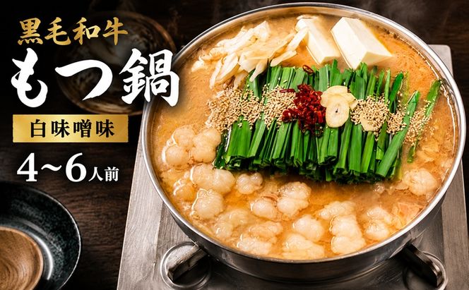 黒毛和牛 もつ鍋 白味噌 味噌味 4～6人前セット【配送不可：離島】 お肉 牛肉 鍋セット モツ鍋