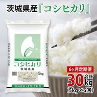 超便利【6ヶ月定期便】計30kg 　令和7年産 茨城県産 コシヒカリ5kg×6回分【お米 コメ こめ こしひかり】(AL261)