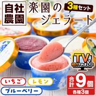 楽園のジェラート3種セット(合計9個) スイーツ デザート おやつ ジェラート アイス 夏 いちご レモン ブルーベリー 自社農園【農園ガーデン空】akn026-05