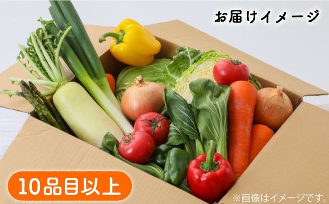 地元の農家さんが収穫した旬のお野菜詰合せセット 10品目以上  / 南島原市 / ミナサポ [SCW022]