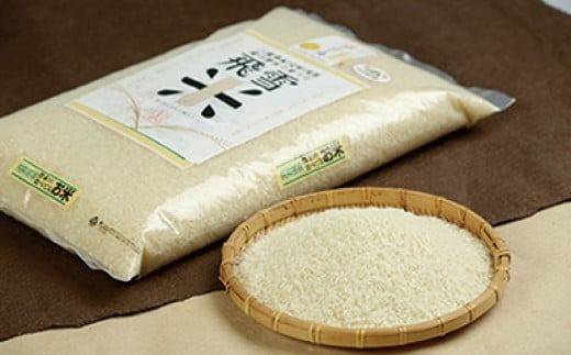 数量限定 飛雪米 結びの神 5kg / 米 こめ お米 おこめ 精米 白米 ご飯 国産 美味しい おいしい ふっくら 新鮮 数量限定[[hsj002A]