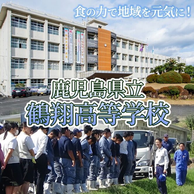 鶴翔高校「3年A組の」豚味噌仕込(100g×12缶) 豚みそ ぶたみそ 大容量 鹿児島県産 阿久根市 国産 九州産 特産品 みそ 調味料 調理 料理 ごはん おかず 常温保存【公益財団法人阿久根市美しい海のまちづくり公社】akn032-01