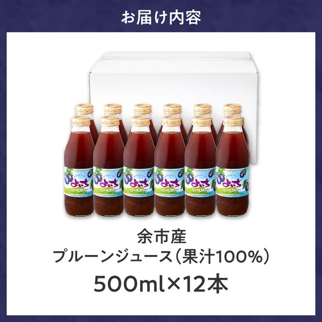 余市産 無添加 プルーン果汁100％ジュース 500ml×12本セット 鉄分 食物繊維 ポリフェノール 栄養豊富 濃厚_Y018-0075