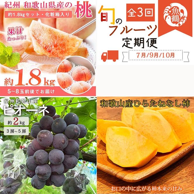 〈定期便〉【7・9・10月 全3回】紀州和歌山産旬のフルーツセット(桃・ピオーネ・ひらたねなし柿) ｜フルーツ ふるーつ 果物 くだもの 詰め合わせ 果物定期便 もも ぶどう かき 国産 産地直送 美浜町
