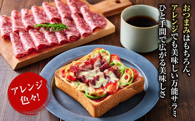 【おつまみにも！】鹿ソフトサラミ 5パック 【鹿肉 ジビエ サラミ おつまみ サラダ 高タンパク 低カロリー お酒 ホームパーティー 人気 おすすめ 神奈川県 小田原市】 142069_HV013