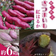 ＼蜜あふれるねっとり系／山﨑観光農園の紅はるか 約6kg｜栃木県 益子町 ふるさと納税 里山 熟成 さつまいも 糖化熟成さつまいも 紅はるか プレミアム 蜜芋 (AU001-2)