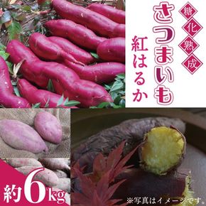 ＼蜜あふれるねっとり系／山﨑観光農園の紅はるか 約6kg｜栃木県 益子町 ふるさと納税 里山 熟成 さつまいも 糖化熟成さつまいも 紅はるか プレミアム 蜜芋 (AU001-2)