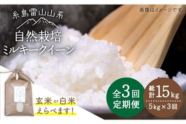 【 全3回 定期便 】糸島産 ミルキークイーン 5kg 自然栽培 《糸島》【大石ファーム】 [ATE026]